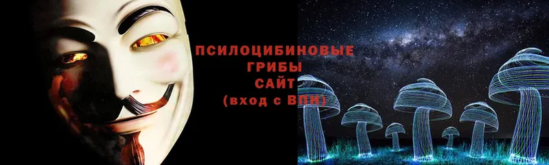 Галлюциногенные грибы Magic Shrooms  MEGA tor  Константиновск 